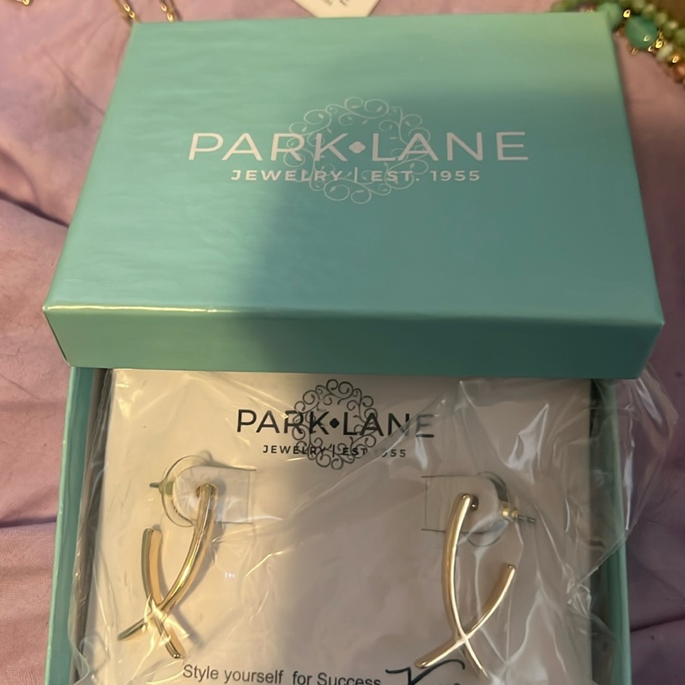 Park Lane Wishbone Earrings gold - BNIB